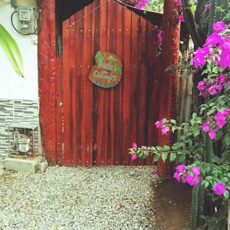 Hostel Cattleya Паломино Экстерьер фото