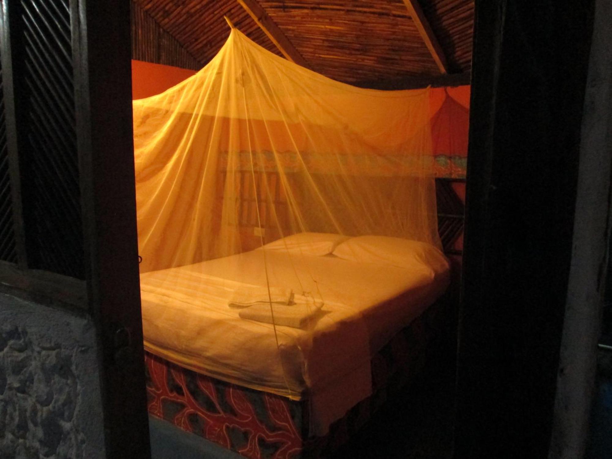 Hostel Cattleya Паломино Экстерьер фото